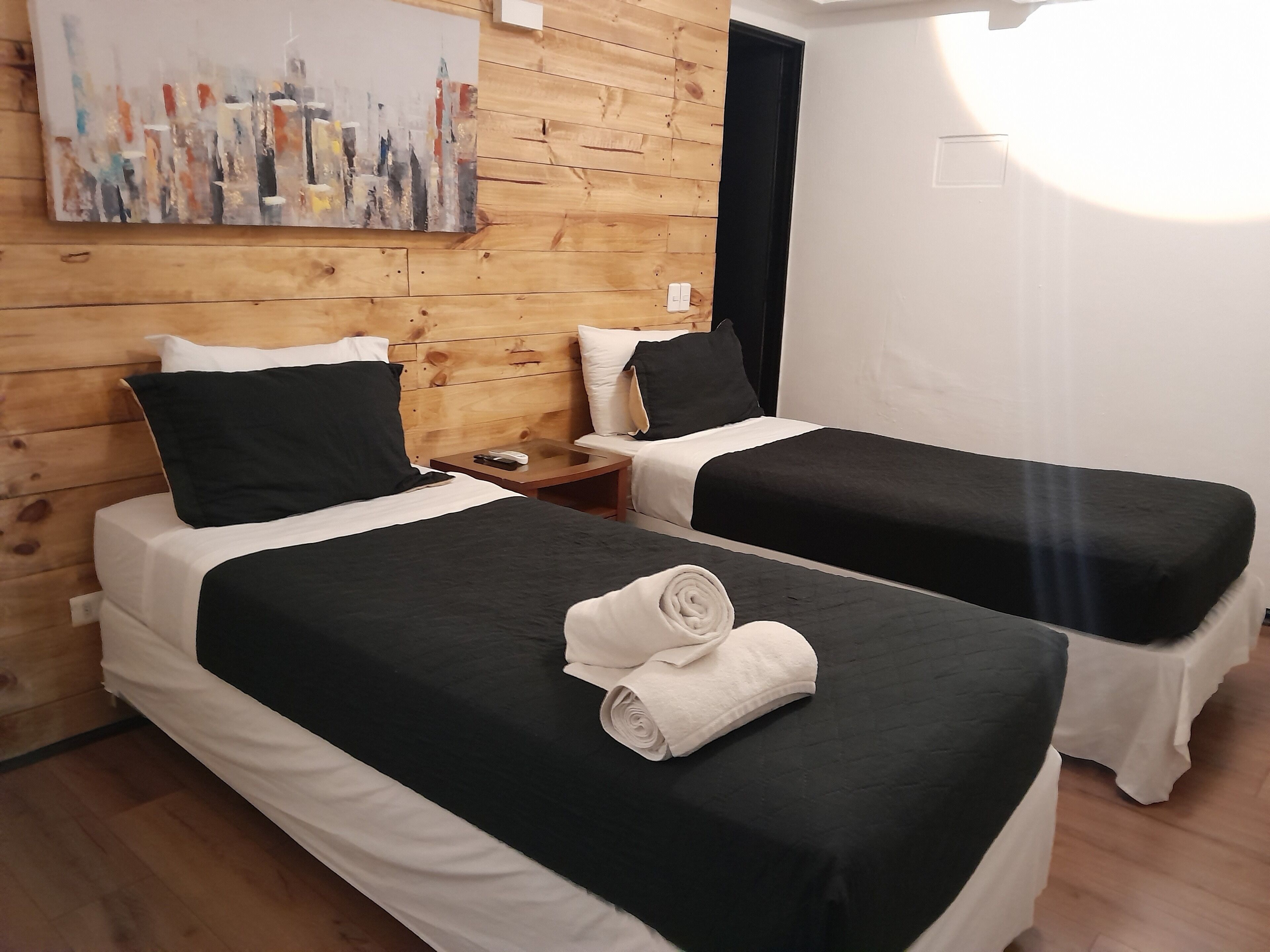 Foto - Bellas artes express