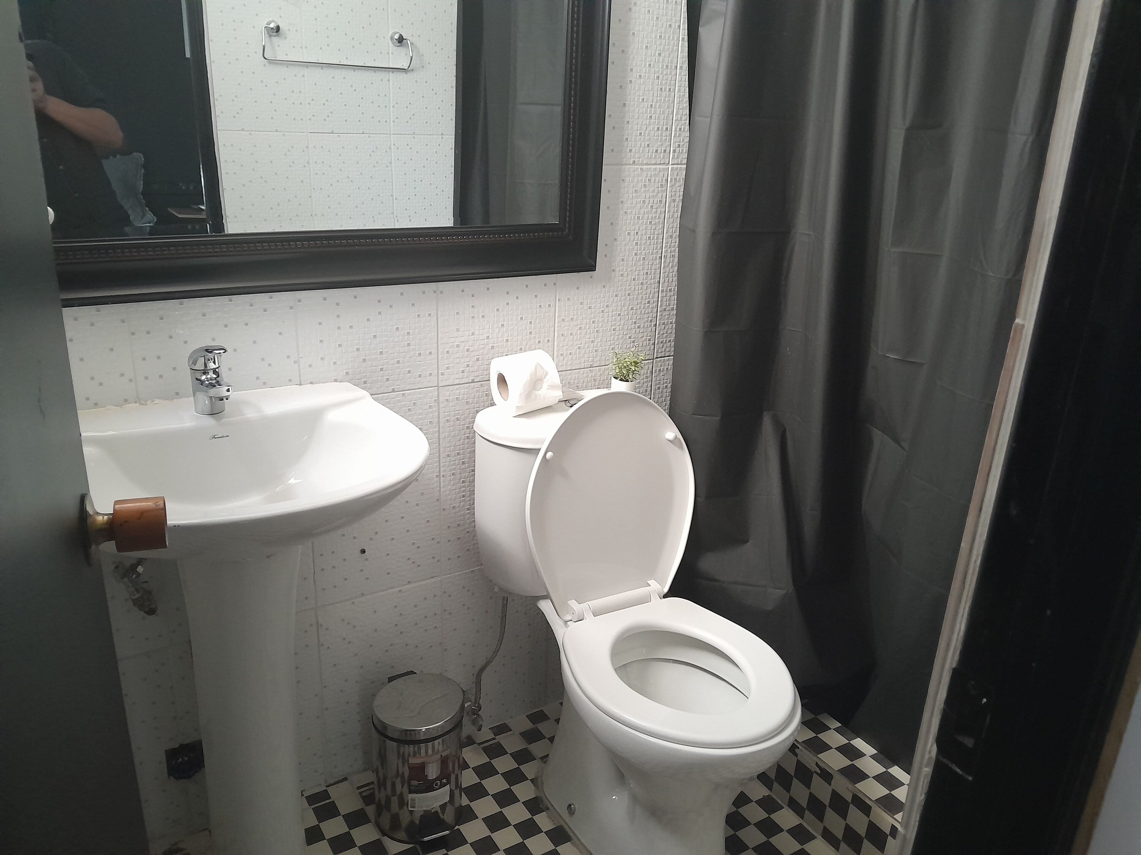 Foto - Bellas artes express