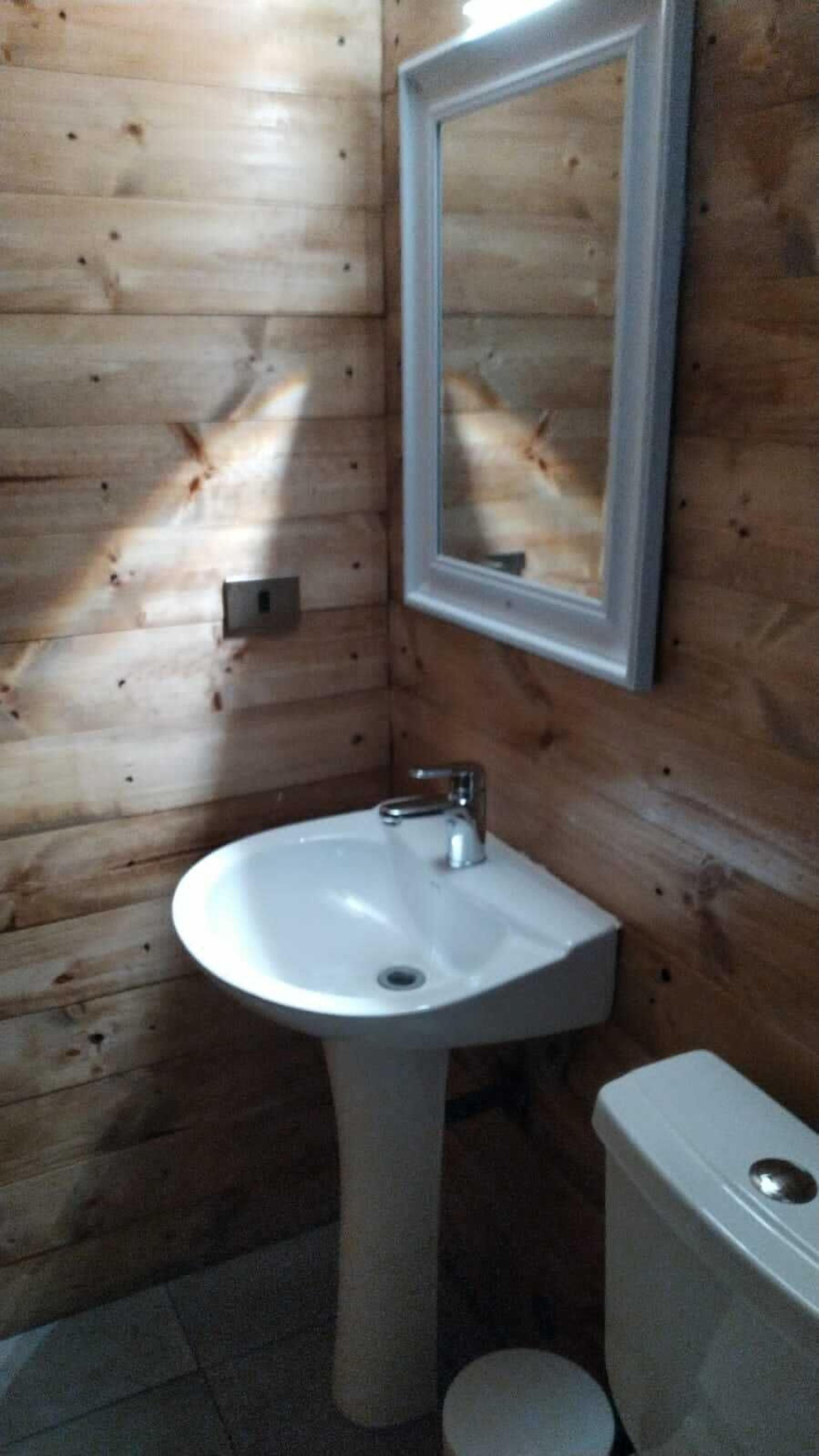 Foto - Bellas artes express