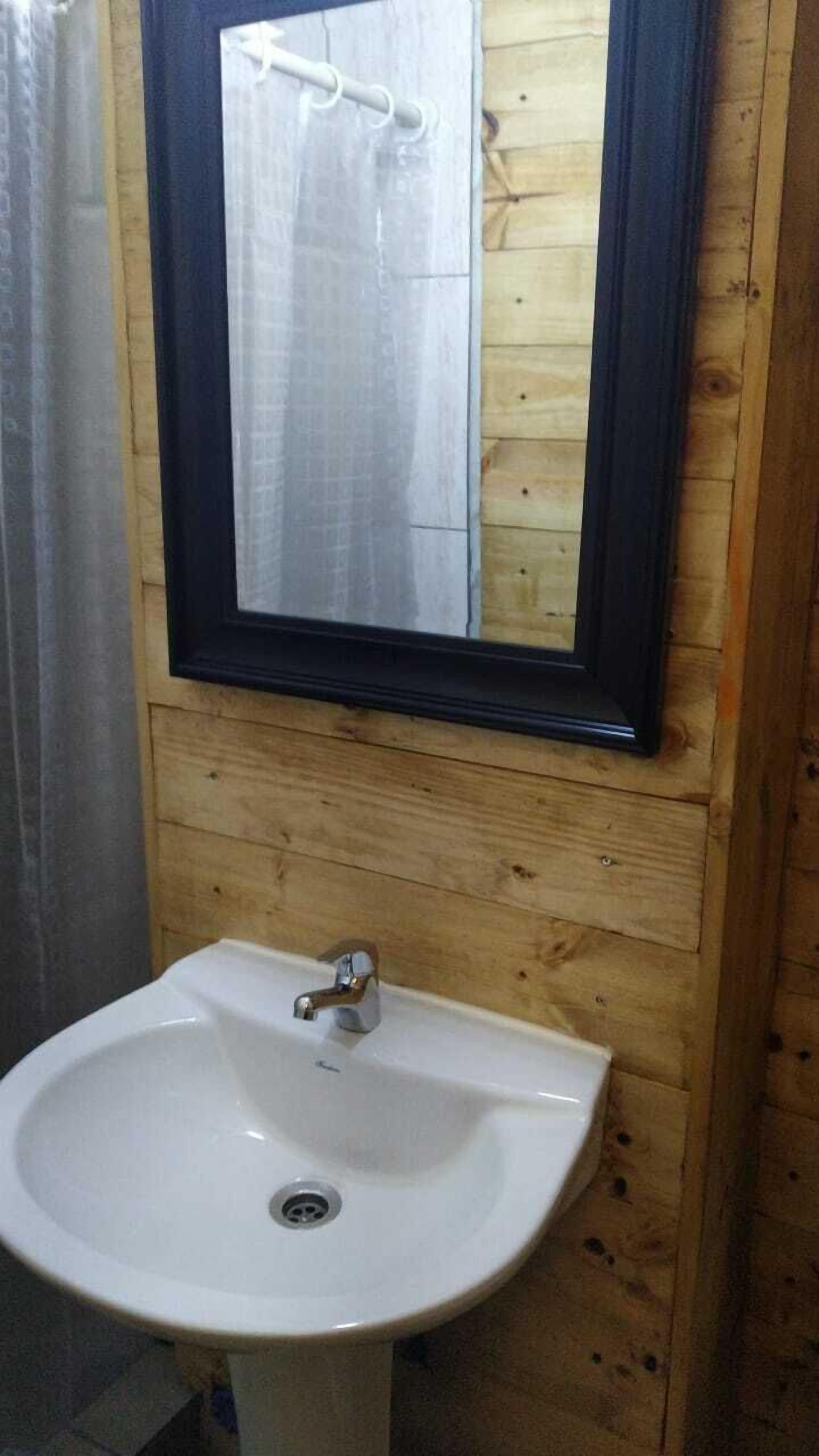 Foto - Bellas artes express