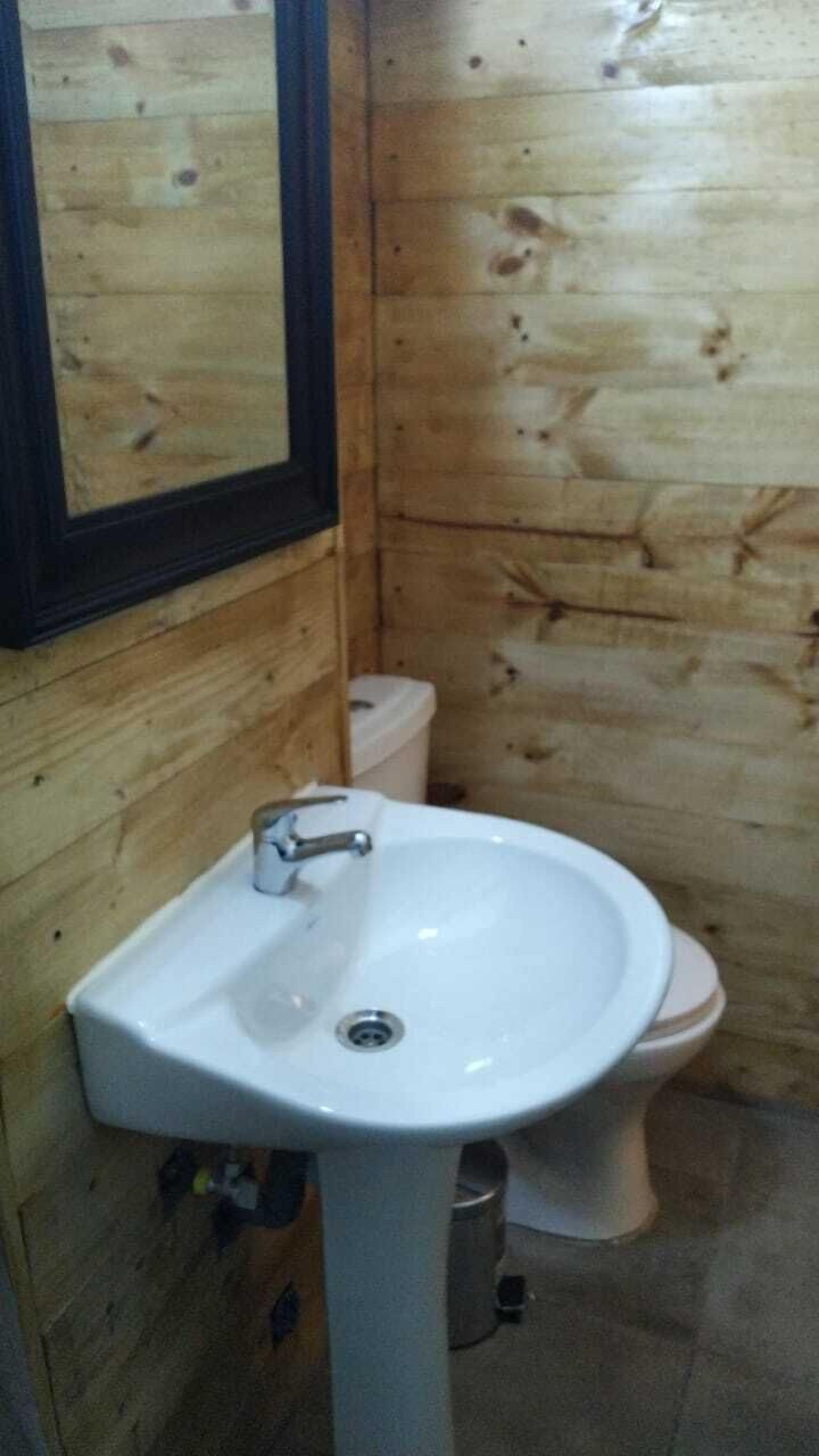 Foto - Bellas artes express