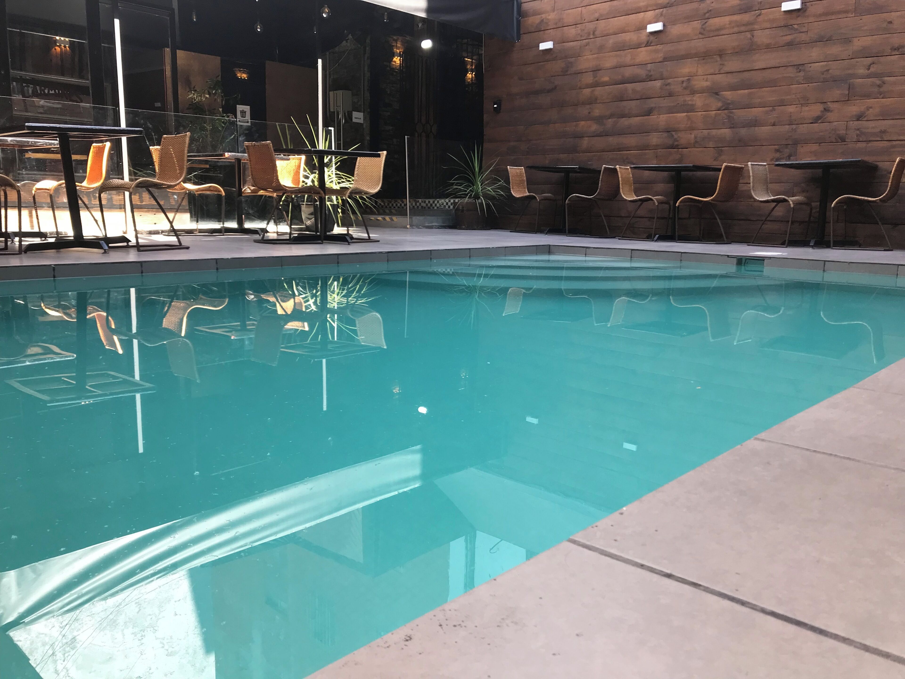 Foto - Bellas artes express