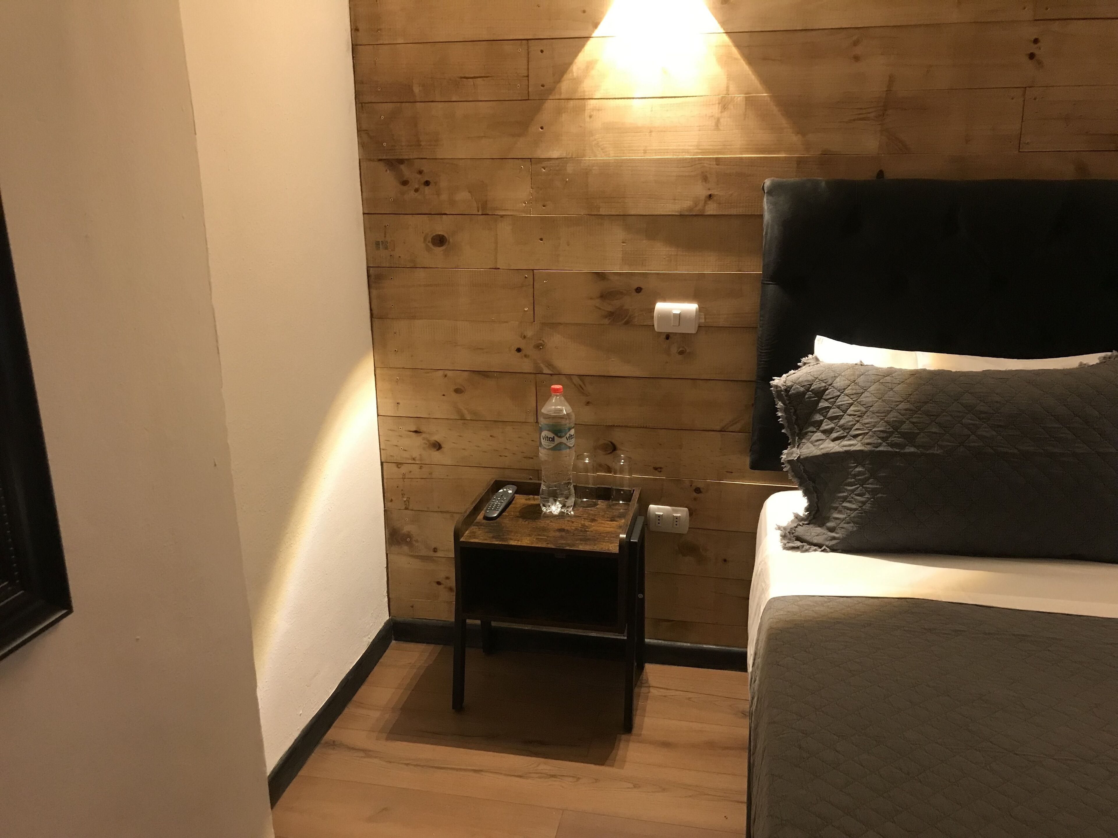 Foto - Bellas artes express