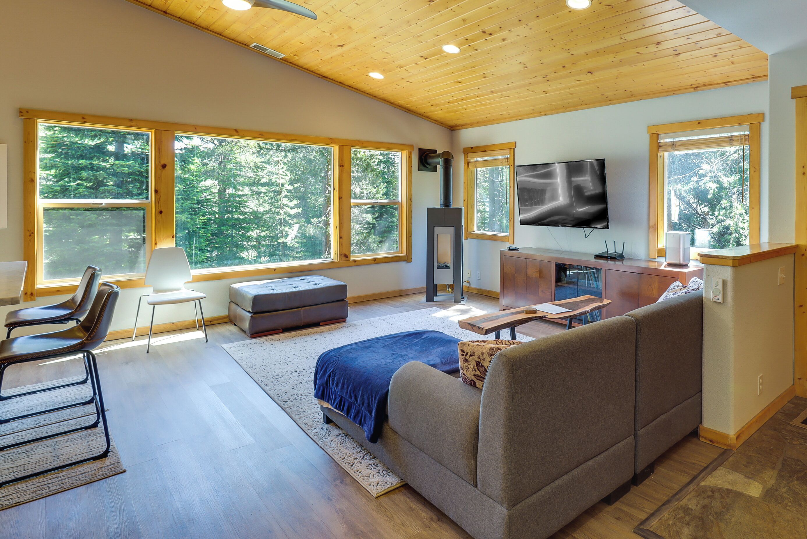 TV, fireplace, books