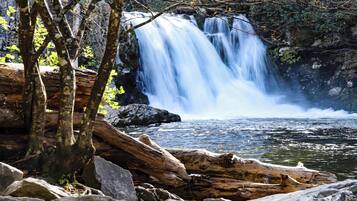 Condo (1 Bedroom) | Property amenity