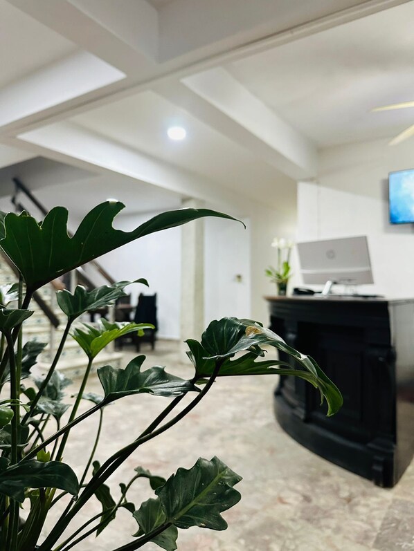 Reception - Hotel Santa Barbara (Mazatlán)