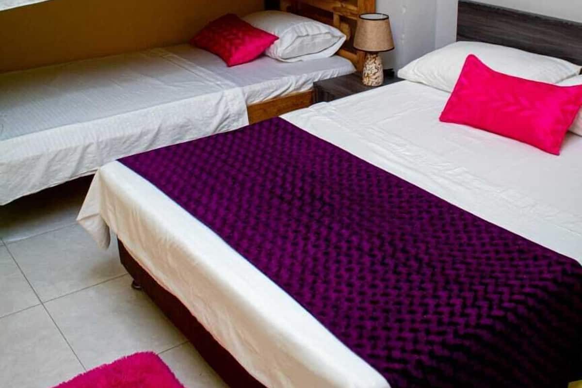 A dormitory room with bunk beds, a single bed, a purple blanket, and a pink rug.
