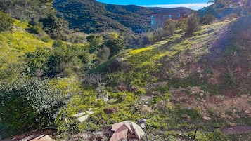 A hillside with a stone pathway leading up to a building with multiple windows.