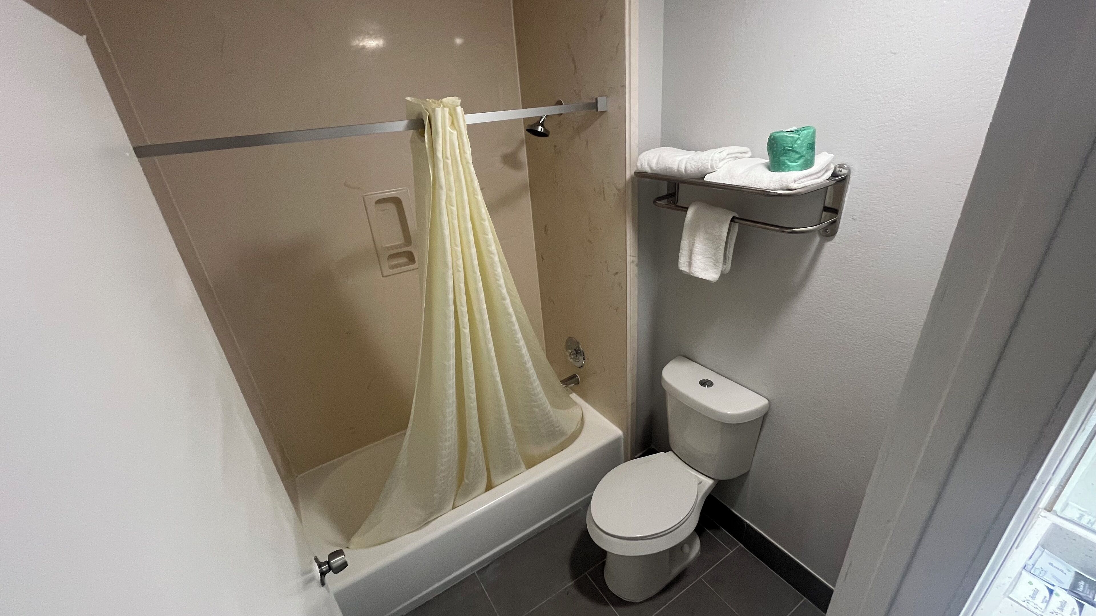 A bathroom with a shower, toilet, and towel rack.