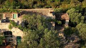Room - Holiday Houses, Villas Lavender - Traditional Tranquility (Trpanj)