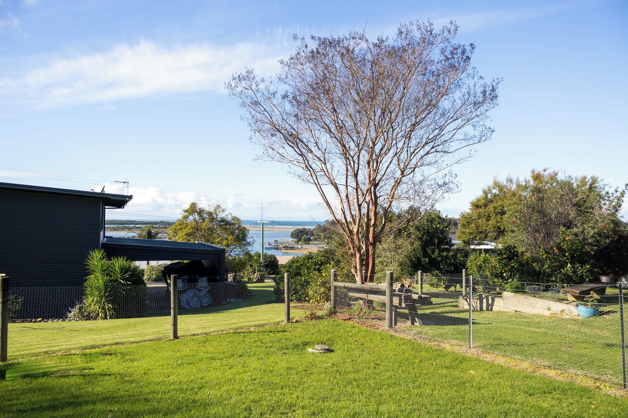 A residential area with a fenced yard, a tree, and a view of the sea.