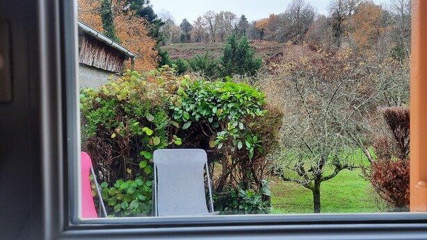 Vista a través de una ventana que muestra un jardín con una silla, un árbol y un edificio al fondo.