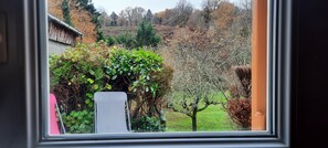 Vista a través de una ventana que muestra un jardín con una silla, un árbol y un edificio al fondo.
