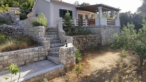 House | 3 bedrooms - Holiday Houses, Villas Vers - 35m From the sea (Vela Luka)