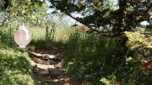 Ein gepflasterter Weg führt durch einen Garten mit verschiedenen Pflanzen und einem hängenden Laternen.