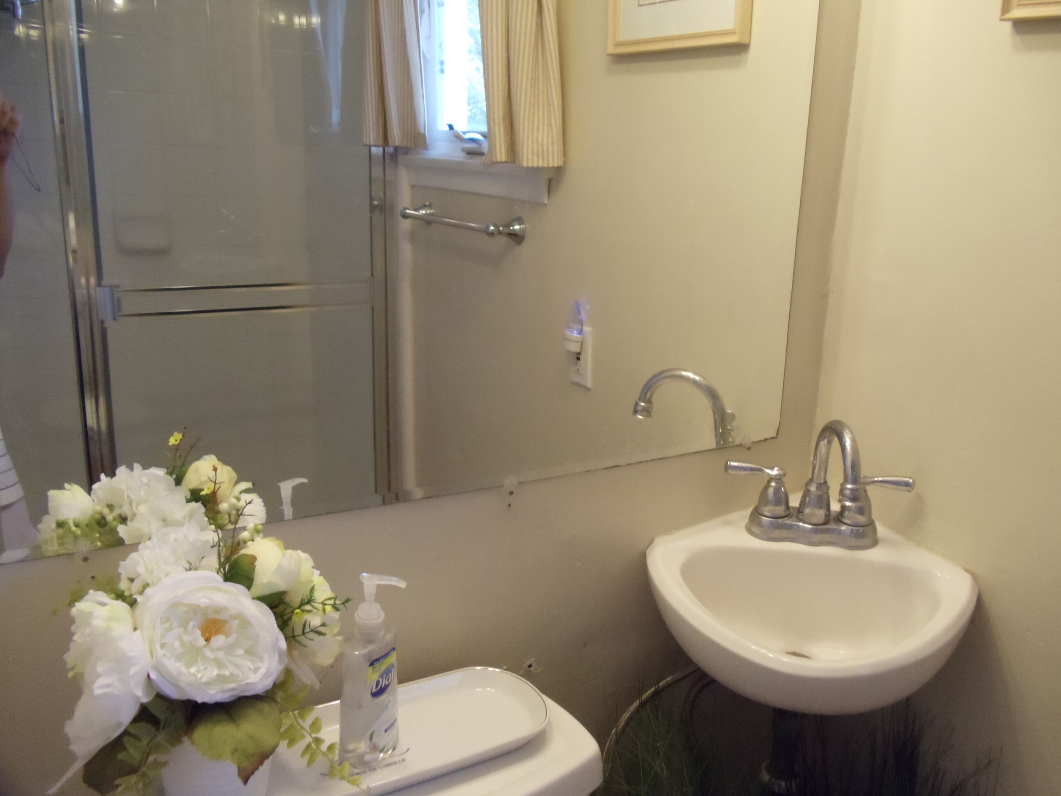 A bathroom with a sink, mirror, and shower.