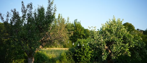 Áreas de la propiedad