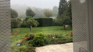 Ein Garten mit Rasen, Hecken und verschiedenen Pflanzen.