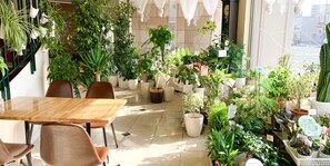 A cafe with a wooden table and chairs, surrounded by various potted plants. - Hotel Royal Kitami (Kitami)