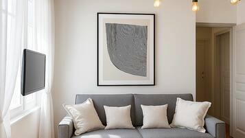 Fernseher, Arbeitsbereiche