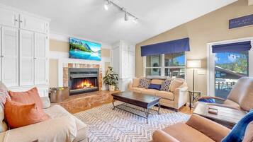 TV connectée, cheminée, lecteur de DVD, livres