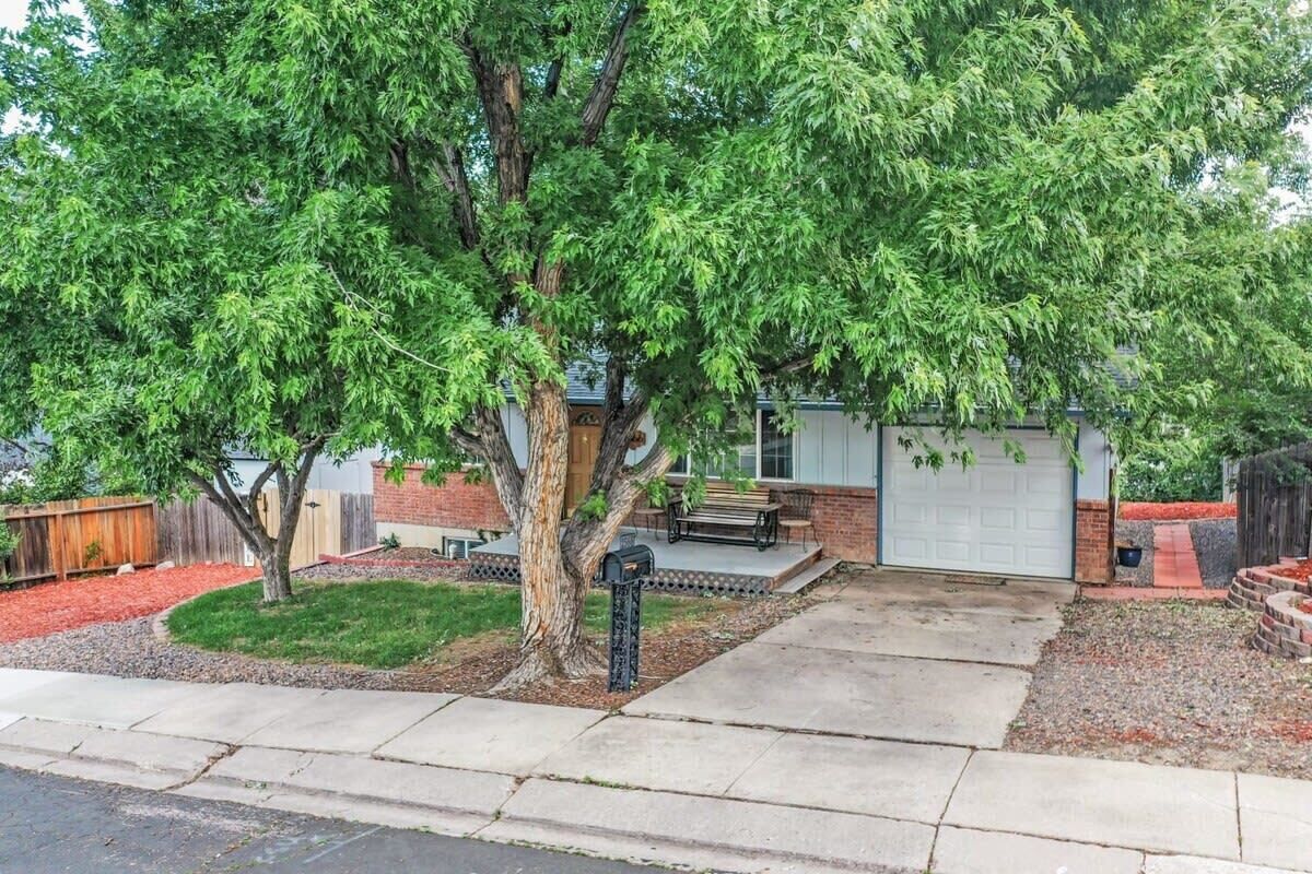 Una propiedad residencial con un gran árbol, un garaje y un pequeño patio.