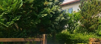 Apartment Vintage Pfalz mit Terrasse
