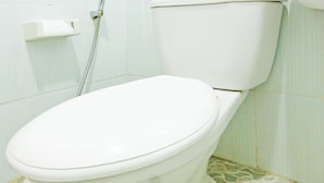 Eine weiße Toilette mit Bidetanschluss in einem Badezimmer mit grün-weißen gemusterten Fliesen.