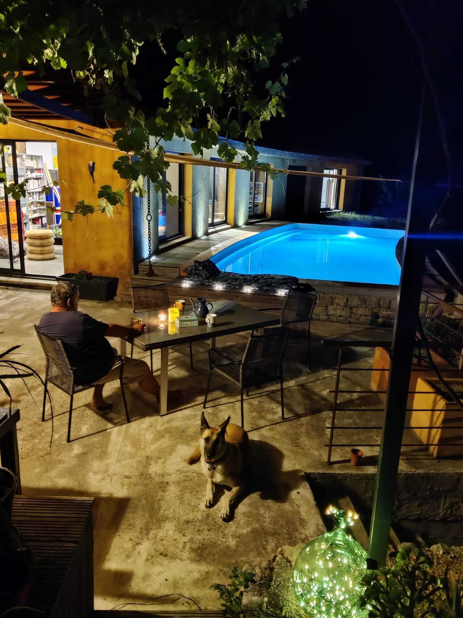 Un espace extérieur avec une piscine, une table et des chaises, un chien, et un bâtiment à l’arrière-plan dont la façade est jaune.