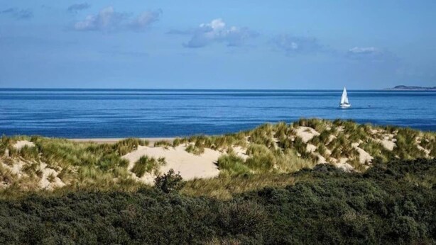 Ein Strand mit Dünen und einem Segelboot in der Ferne.