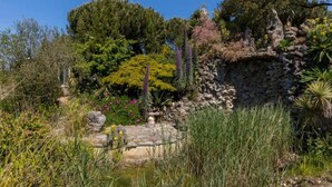 Ein Garten mit verschiedenen Pflanzen, einer Steinmauer und einer Statue.