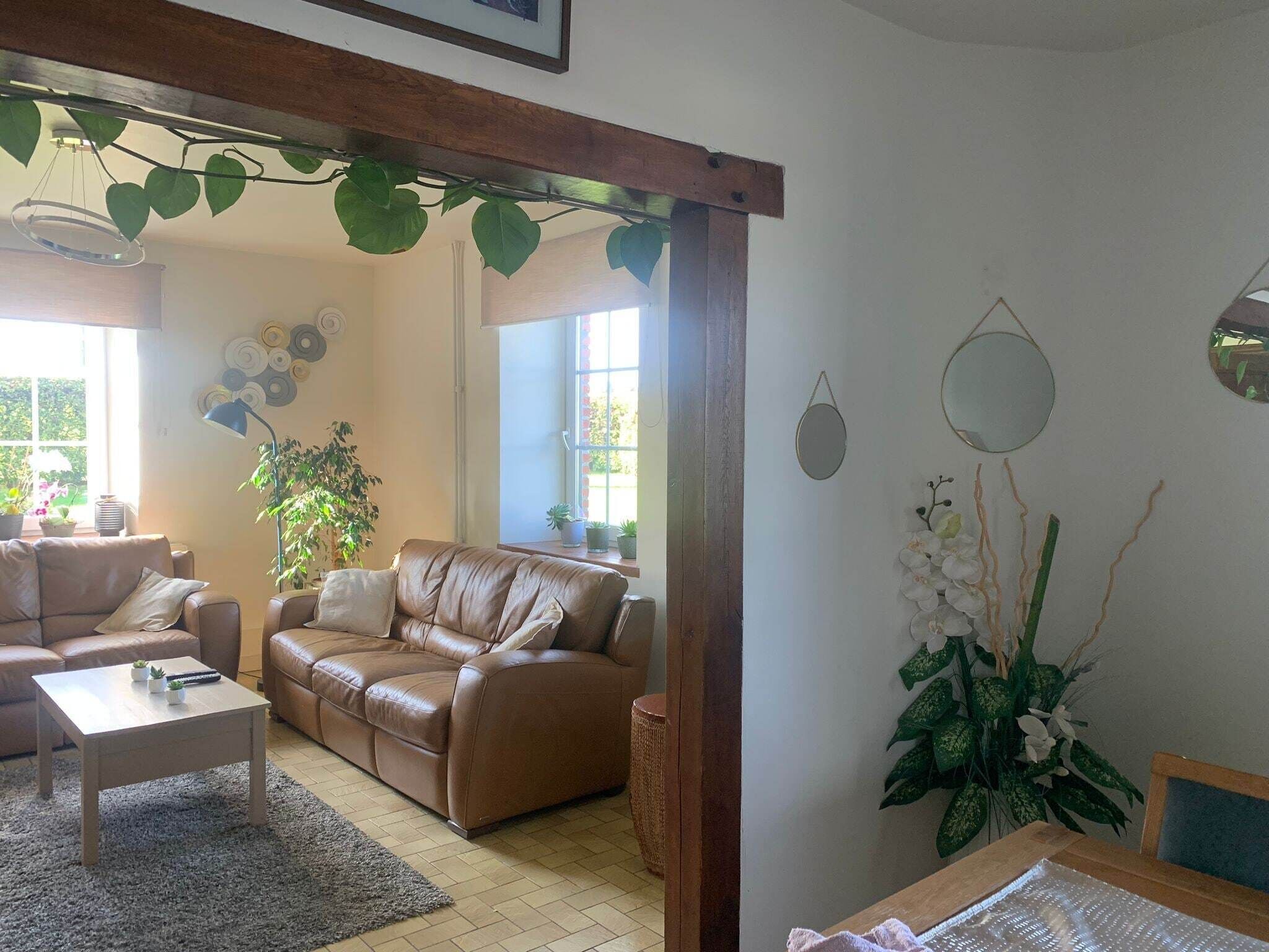 Télévision, livres