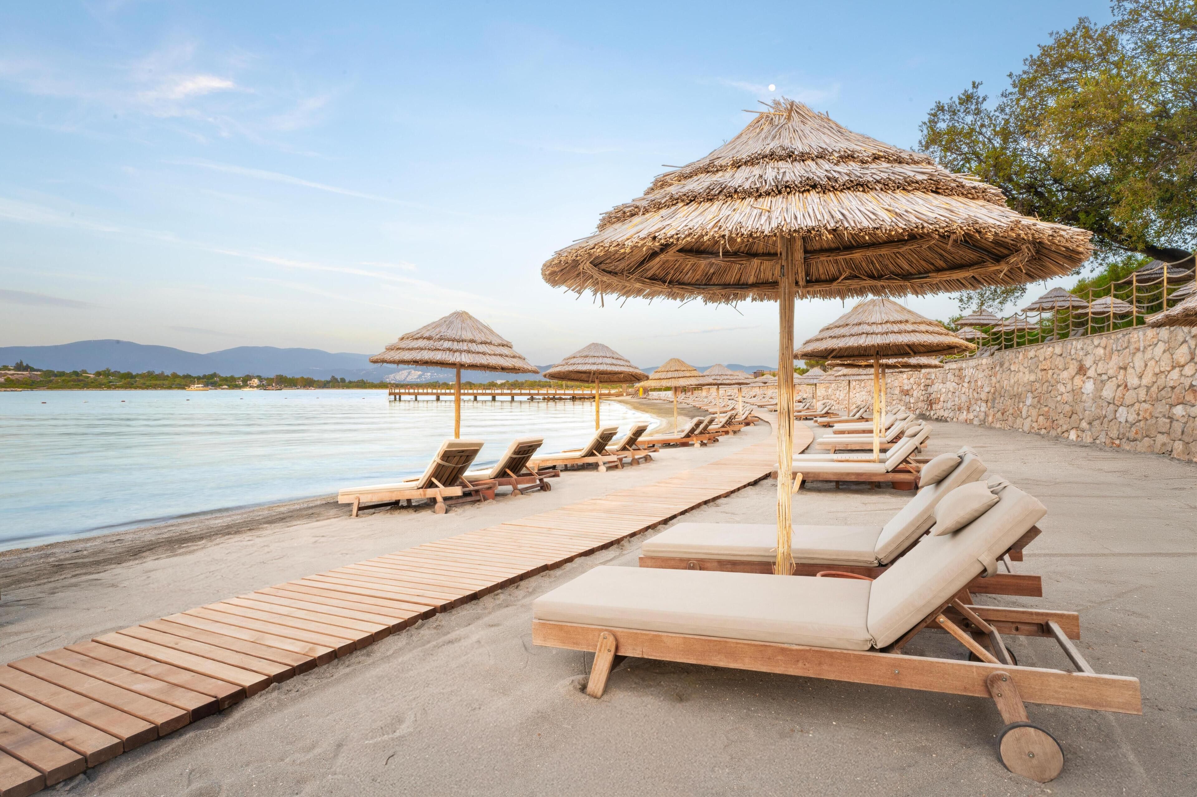 ビーチ、ビーチ シャトルサービス (無料)、ビーチバー