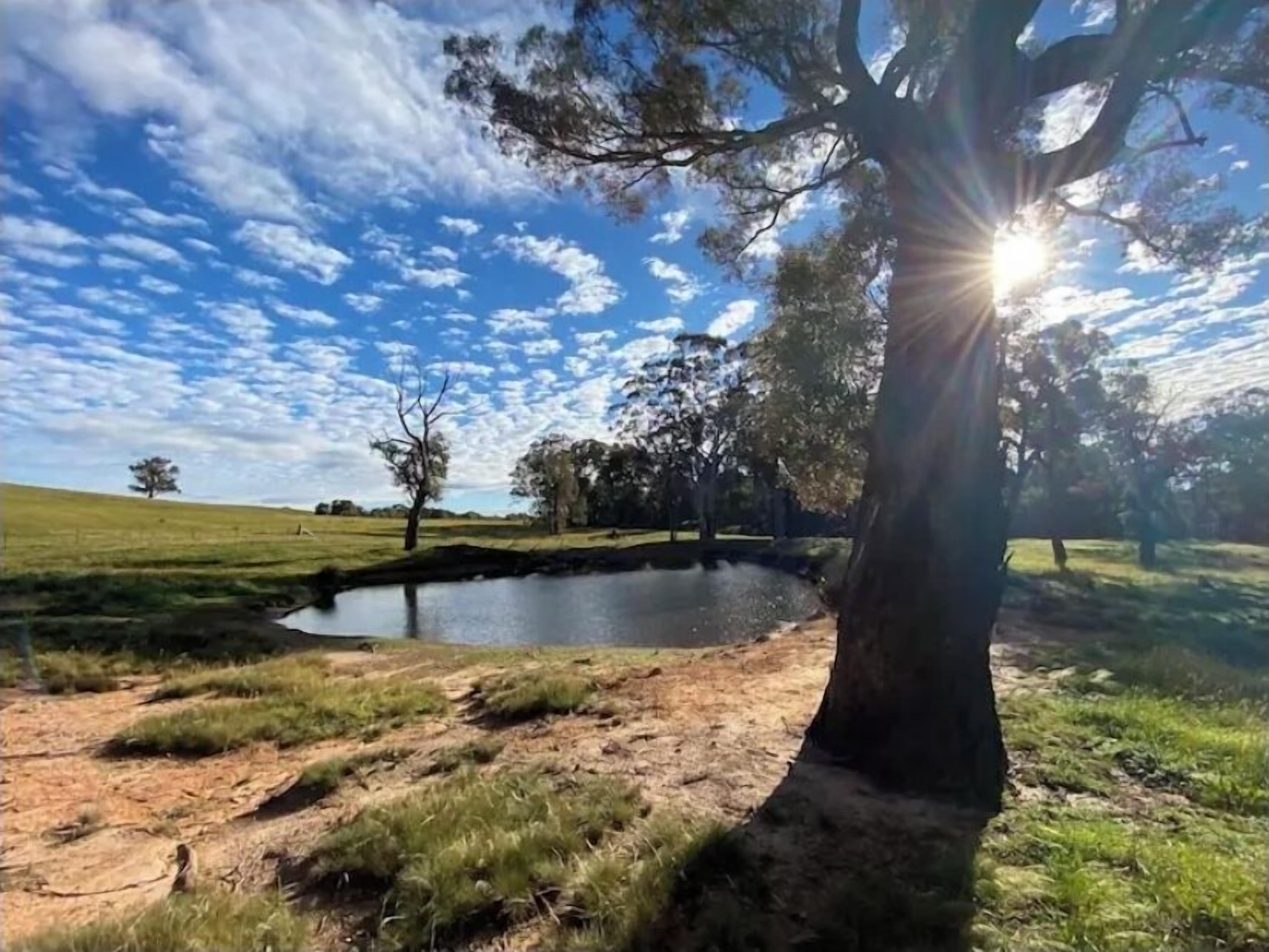 Un paysage naturel avec un étang, des arbres et un ciel dégagé.
