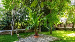 Ein Garten mit einem Blumentopf, einem gepflasterten Weg und umgebender Bepflanzung.