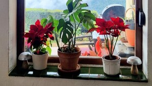 未分类图片，第 4 张，共 40 张，按钮
