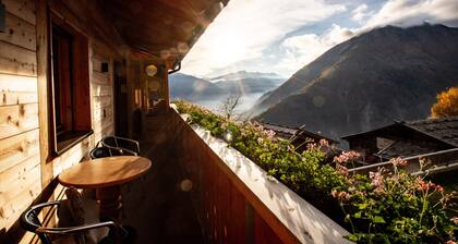 Apartment “Bergsteiger – Patleidhof” with Mountain View & Private Sauna on the Balcony