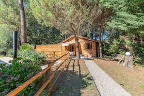 A wooden cabin with a porch, surrounded by trees and a gravel path.