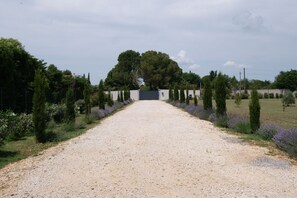 Un chemin de gravier mène à un bâtiment à la façade blanche, entouré de verdure et de buissons de lavande.
