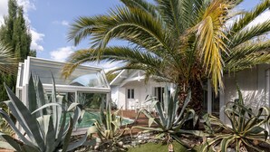 Une maison moderne dotée d’une véranda en verre, d’une piscine et de diverses plantes tropicales.