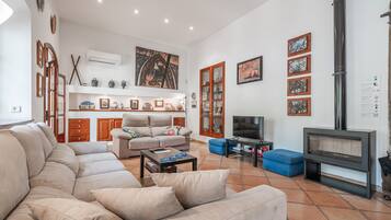 TV, fireplace, DVD player