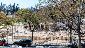 Un estacionamiento con coches, un árbol y una valla.