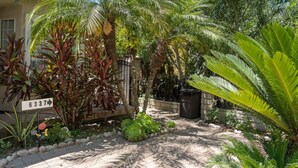 Un jardin avec des palmiers, un sentier et une maison avec une boîte aux lettres.