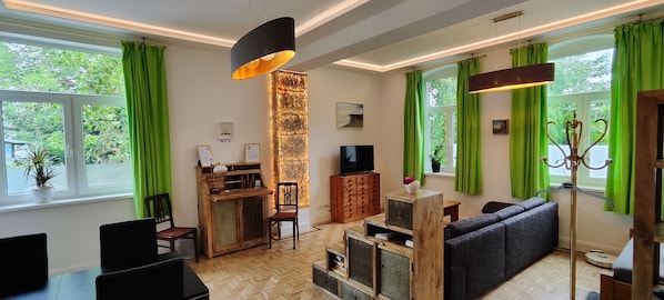 Smart TV, fireplace, books