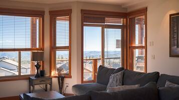 TV connectée, cheminée, jeux vidéo, livres