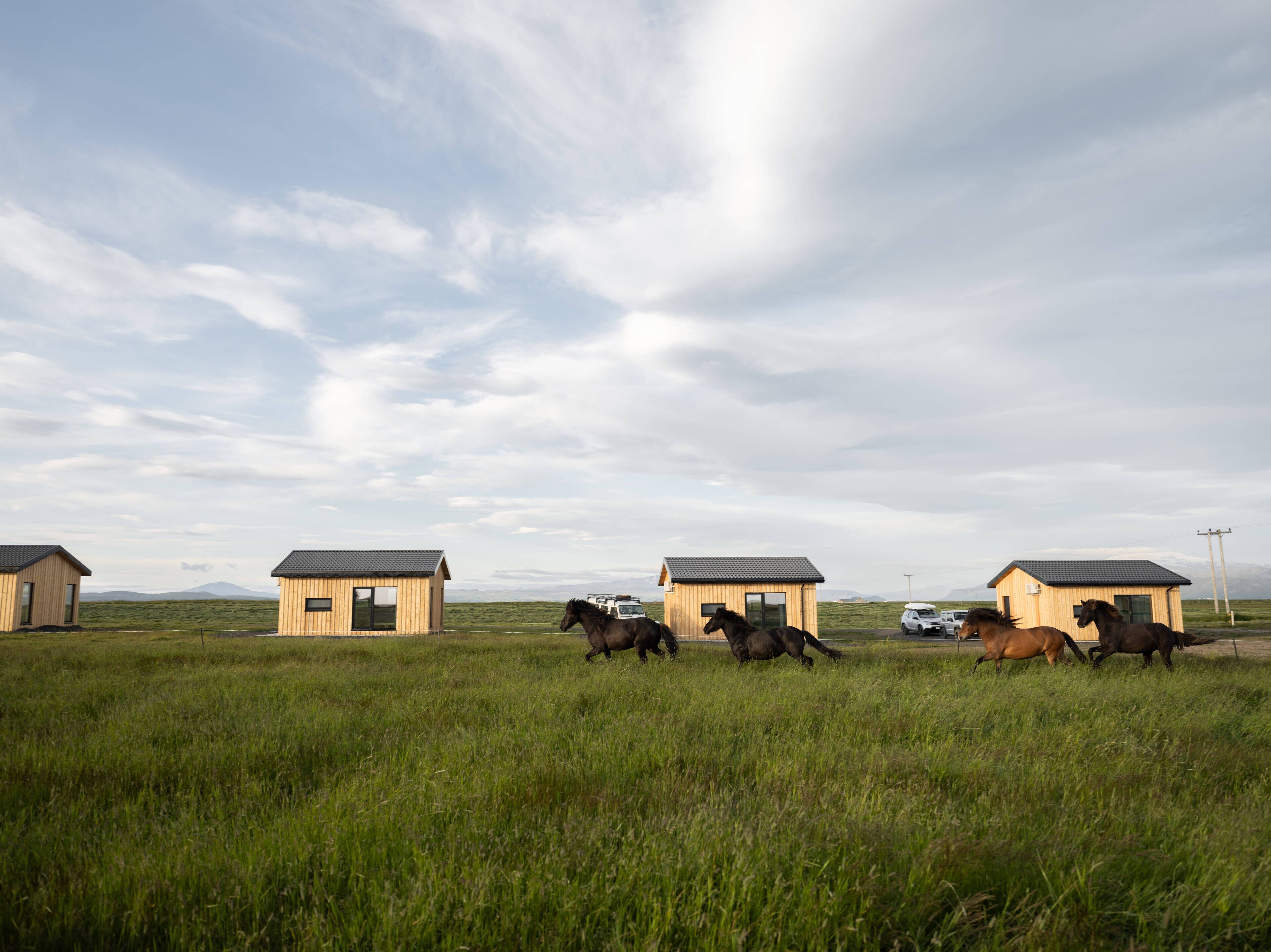 A rural landscape with three wooden cabins and horses grazing in a field.