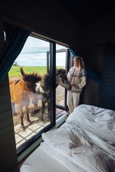 Sleeping with the Horses