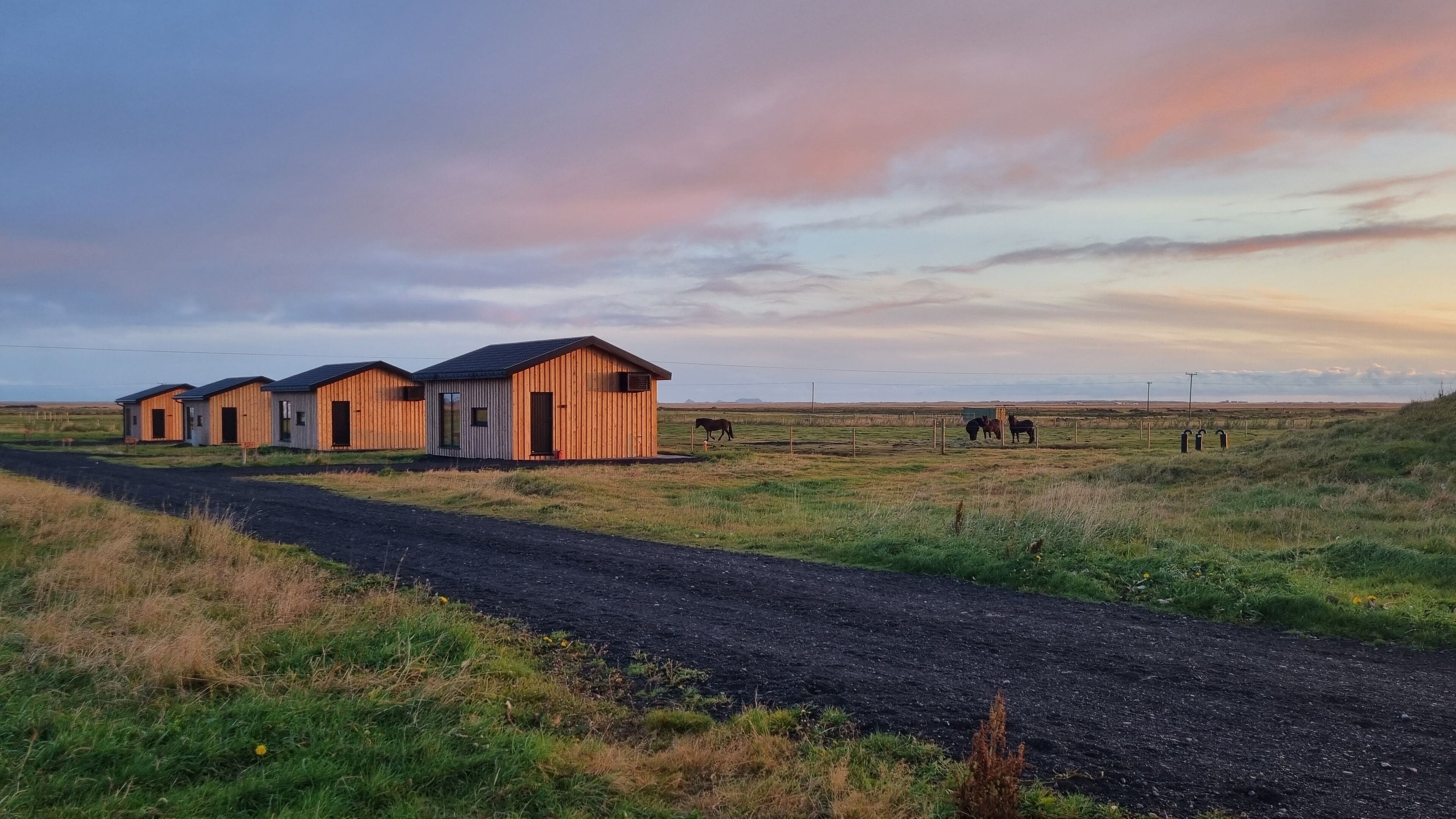 A rural setting with a dirt road leading to a row of wooden buildings, likely farmhouses, with horses grazing in the background.