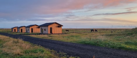 A rural setting with a dirt road leading to a row of wooden buildings, likely farmhouses, with horses grazing in the background.