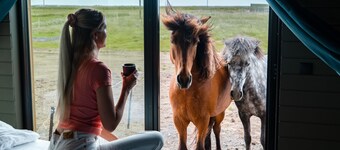 Sleeping with the Horses